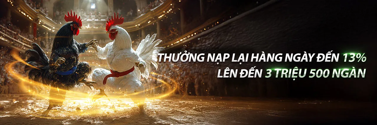 Đá Gà Trực Tuyến Hấp Dẫn tại m88sut app